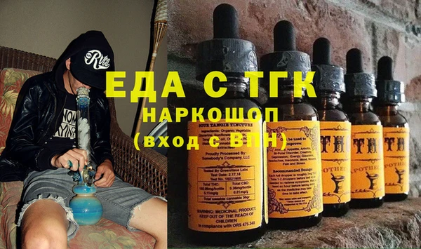 дживик Гатчина