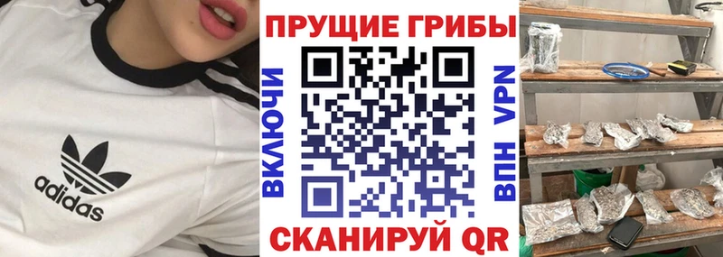 Галлюциногенные грибы Magic Shrooms гидра Богородск купить наркотики цена