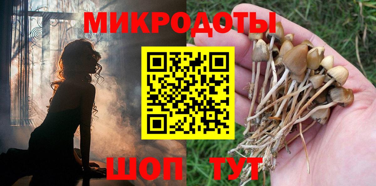Богородск  Псилоцибиновые грибы Cubensis  Вход с VPN 