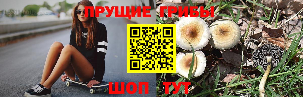 Псилоцибиновые грибы мухоморы  Богородск 