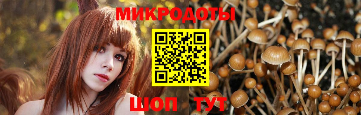 Галлюциногенные грибы мицелий Богородск